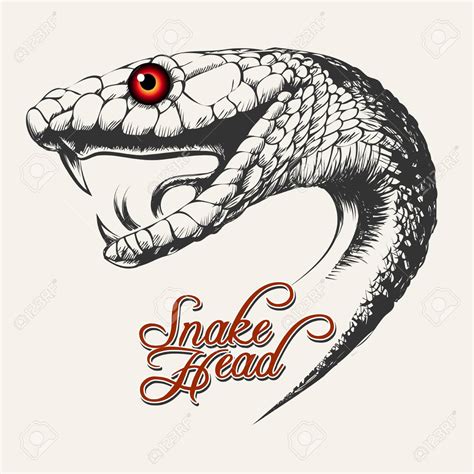 Snake Drawing Mouth Open ~ Copperhead Venomous Cobra Fangs Snakes