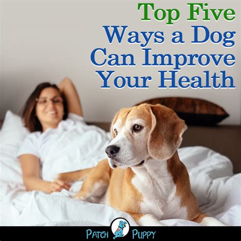 Here Are The Top Five Ways A Dog Can Improve Your Health Dogs Dog