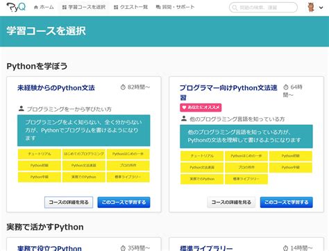 【体験談】pyqの評判は？3か月本気でpythonを勉強してみたので徹底レビュー！｜スタビジ