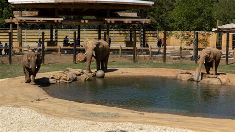 29 Map Of Atlanta Zoo Maps Online For You
