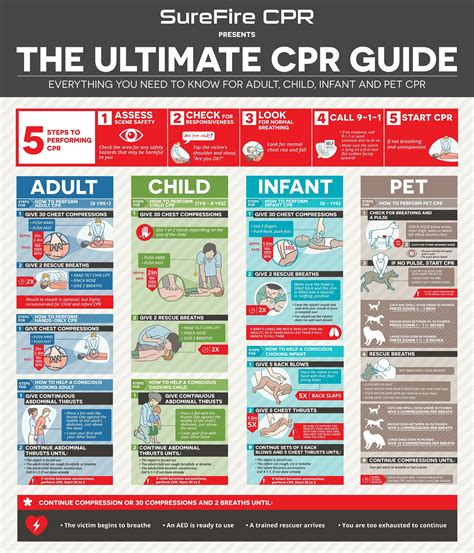 The Ultimate Cpr Guide Emergency Nursing Medical Education How To