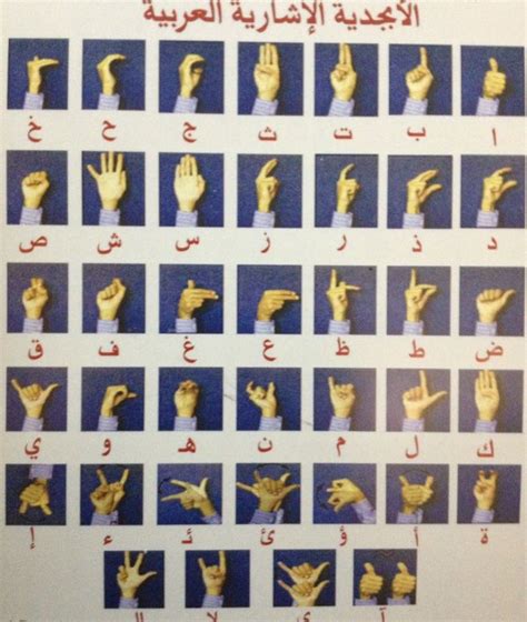 How I Learned Arabic Sign Language Sign Language Alphabet Learning