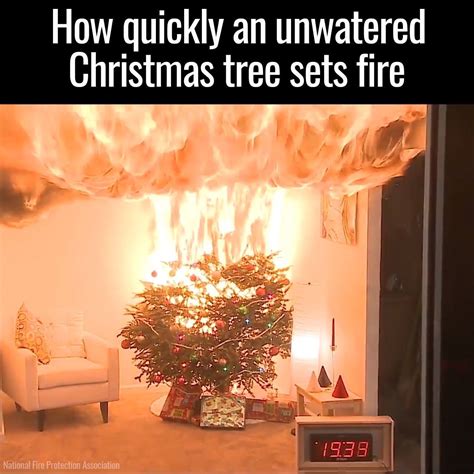 How Quickly An Unwatered Xmas Tree Sets Fire I Didn T Even Know You Had To Water Your