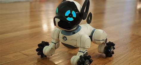 Some destinations may require a separate certification. 5 Crazy Hi-Tech Robots You Need to See