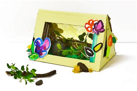 Make A Diy Bug Observation Box From Recycled Supplies