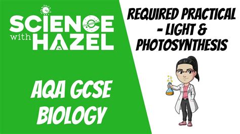 Aqa Gcse Biology Required Practicals Light Intensity Photosynthesis Gcse Biology Revision