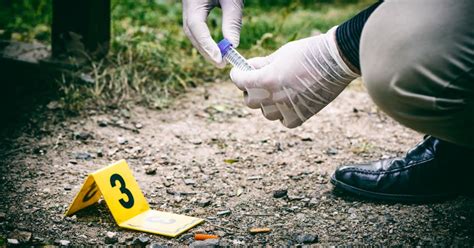 Crime Scene Investigator Education Requirements And Career Information