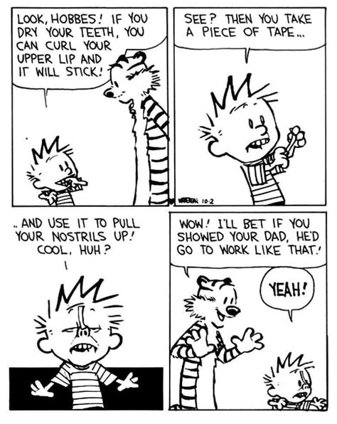 Pin By Erinscoker On Quotes Calvin And Hobbes Comics Calvin And