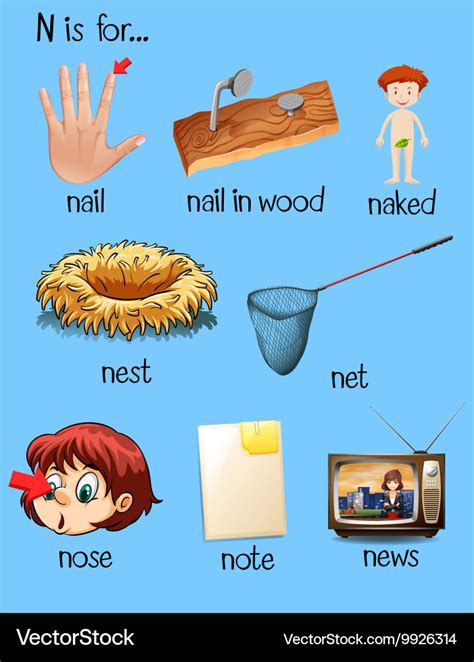 Things Start With Letter N With Pictures