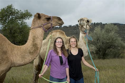 Jared kushner insists middle east peace plan is 'a real effort to break logjam'. MERS Outbreak 2015: How Vaccinating Millions Of Camels In ...