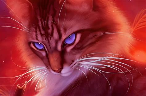 最高 50+ Cat Wallpapers For Chromebook - サンセゴメ