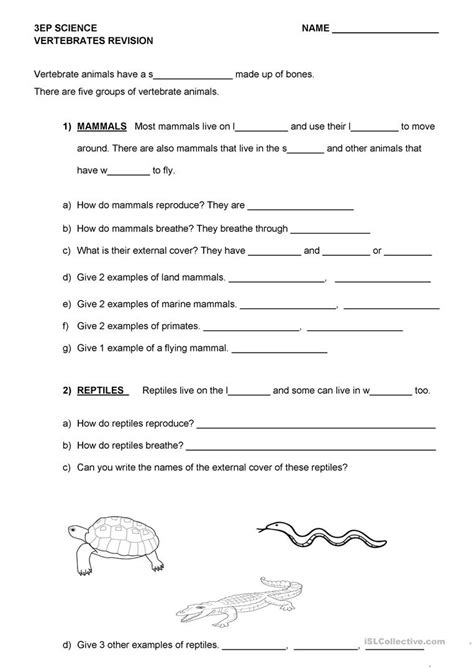 A worksheet on vertebrates and invertebrates, a quiz on distinguishing vertebrates and invertebrates and a lesson which students can read vertebrates are animals that have a backbone while invertebrates are animals that don't. worksheet. Vertebrate And Invertebrate Worksheets. Grass ...
