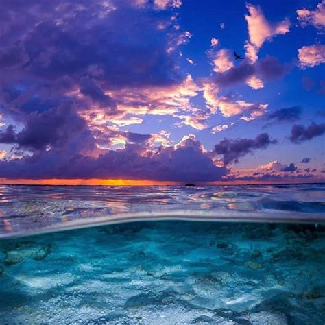 Repost Capochino67 Via Shipwreckphotography Great Barrier Reef