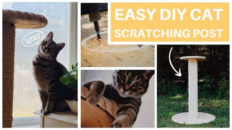 Easy Diy Cat Scratcher Post Plus Must Know Tips Youtube