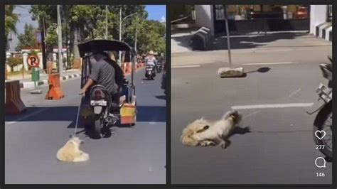 Viral Pengendara Motor Di Makassar Seret Anjing Di Jalanan Buat Netizen Geram Halaman All