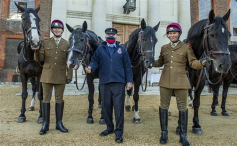 Reunited Household Cavalry Horses Meet Former Comrades As Britain Goes