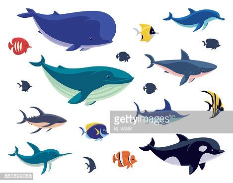 Group Of Sea Creatures High-Res Vector Graphic - Getty Images