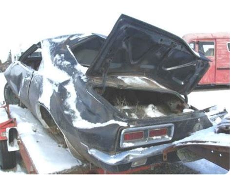 Pin By Tim On Crashed Abandoned Old Cars Camaro Rs Car Crash
