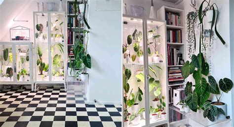 Maybe you would like to learn more about one of these? IKEA Cabinet-Greenhouse Hacks Are the Plant Trend You Need ...