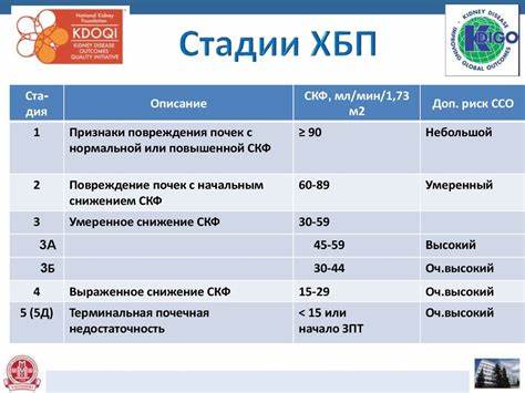 Хбп 4 стадии диета Хроническая болезнь почек (ХБП) - презентация онлайн Хроническая болезнь почек (ХБП) - презентация онлайн Хбп 4 стадии диета