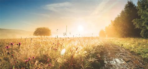 The passing of a loved one is a difficult time. Albertville Funeral Home | Albertville, AL