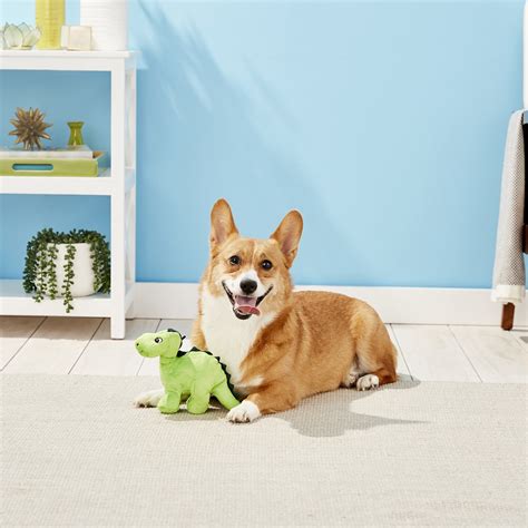 How to use pet in a sentence. SMART PET LOVE Tender Tuff Green Dino Squeaky Plush Dog ...