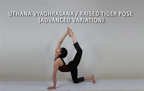 Uthana Vyaghrasana Raised Tiger Pose Advanced Variation Asana