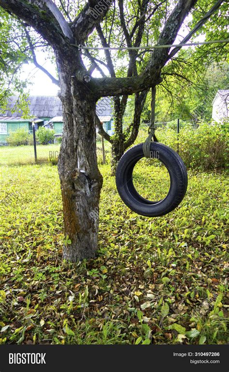Tire Swing Hanging Image And Photo Free Trial Bigstock
