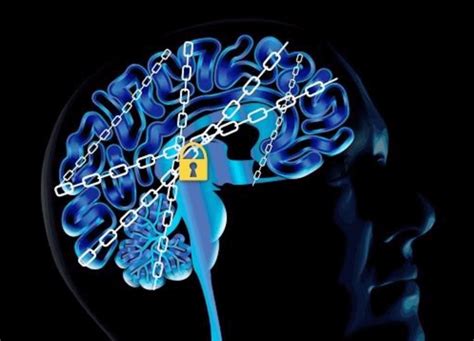 We did not find results for: Brain addiction: Why stopping drug use is so difficult ...
