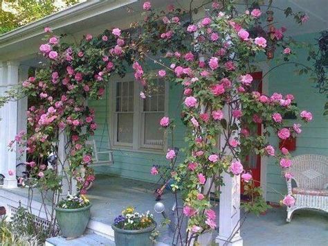 Climbing Roses On Front Porch Gardening In Zone 3b Pinterest
