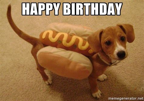 Dog Birthday Meme Happy Birthday Hot Dog Weiner Dog Meme