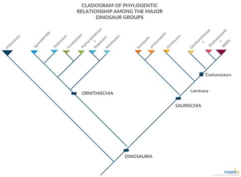Looking at the remaining 9 taxa: Cladogram is a diagram used to represent a hypothetical ...