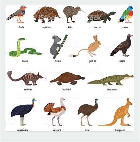 In order for your ranking to be included, you need to be logged in and publish the list to the site (not simply downloading the tier list image). Adopt Me Pet Ages List - The W Guide