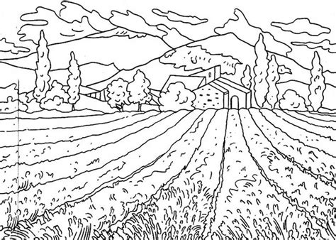 Here are coloring pages inspired by the beauties of nature: Flower Field Of Nature Coloring Page : Color Luna