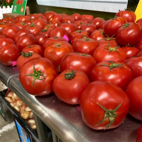 Beefsteak Tomatoes Information Recipes And Facts