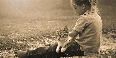Introducing Cats And Children International Cat Care