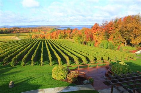 9 Of The Best Michigan Wineries To Visit In The Fall