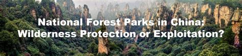 Wilderness Protection National Forest Parks In China Wilderness