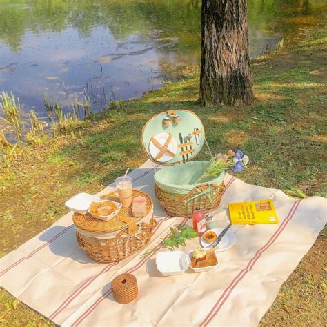 Pin By 𝐓𝐢𝐦𝐞🕛and𝐃𝐚𝐲☀️ On Picnic In 2021 Cute Picnic Picnic Aesthetic Picnic