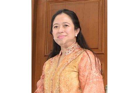 Sedangkan akun @jenochan14_ membuat meme yang memperlihatkan tiga tokoh kartun menunjuk ke arah puan. Menteri Puan Pastikan Perppu Kebiri tak Sekadar Perberat Hukuman | Republika Online