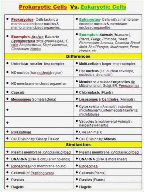 20 Prokaryotes Vs Eukaryotes Worksheet in 2020 | Study biology, Biology