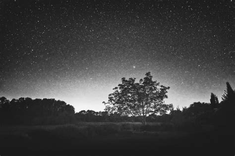 Night Sky Photos In The Style Of 19th Century Pictorialism Petapixel