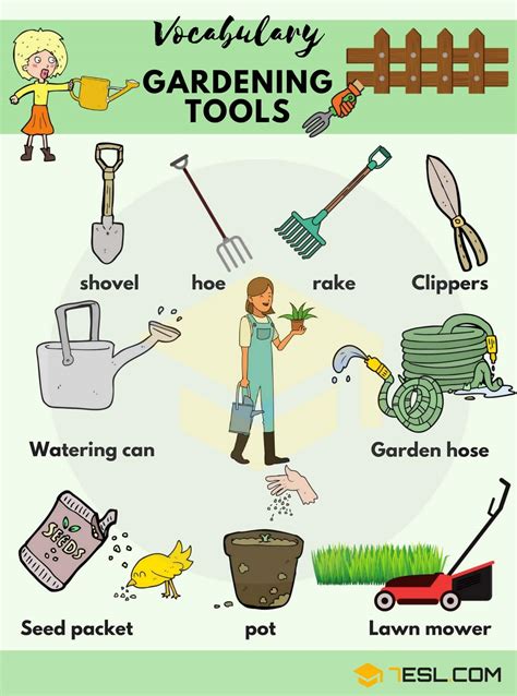Basic Gardening Tools Names Basic Gardening Tools For Beginners A