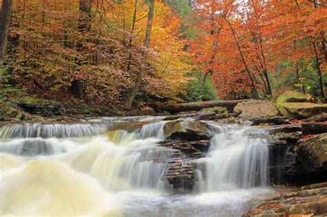 Fall Foliage Picture Of Ricketts Glen State Park Benton Tripadvisor