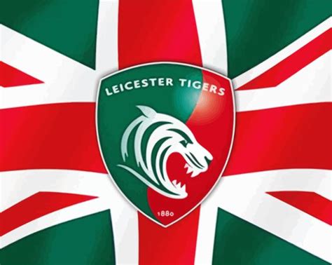 Leicester Tigers Sport Paint By Numbers Num Paint Kit