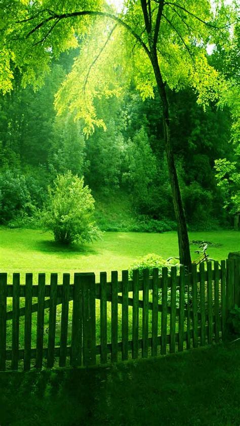 Wallpaper Nature Green Android 2020 Android Wallpapers