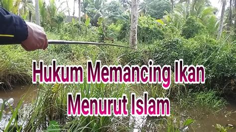 Ekspor tuna menurut negara tujuan citra cendekia indonesia : Hukum Memancing Ikan Menurut Islam - YouTube