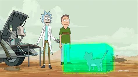 Rick And Morty Chris Parnell On The Talking Felines Crimes In Season