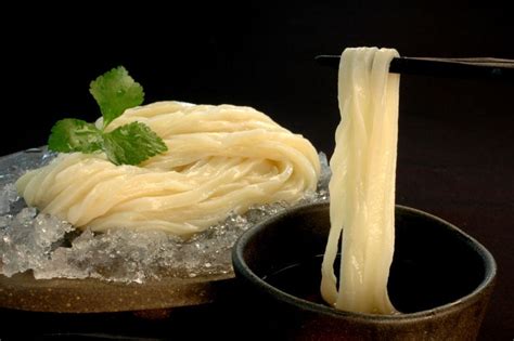 All About Sanuki Udon Noodles Definition Production Recipes Use In