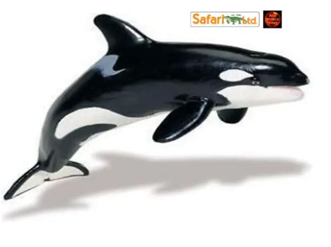 Killer Whale Orca Toy Model Figure By Safari Ltd 210202 Brand New 18